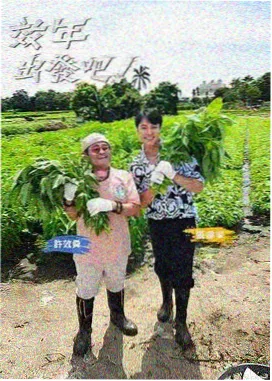厨房陌生人美食纪实综艺封面